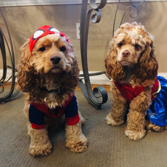 Meet your Posher, Amy - Picture 2 of 4